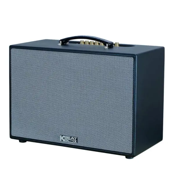 Loa Karaok ACNOS CS2501PU