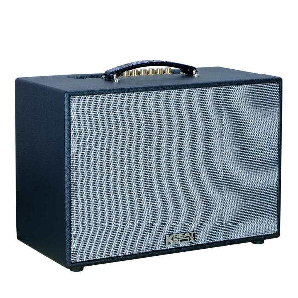 Loa Karaok ACNOS CS2501PU