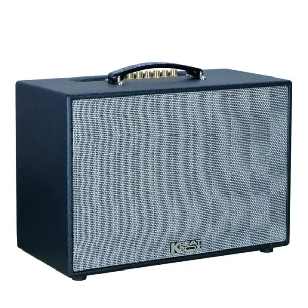 Loa Karaok ACNOS CS2501PU