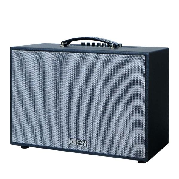 Loa Karaok ACNOS CS251PU