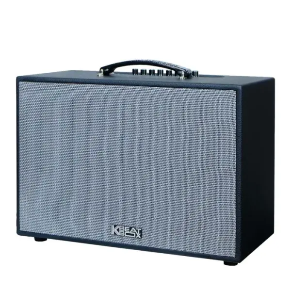 Loa Karaok ACNOS CS251PU