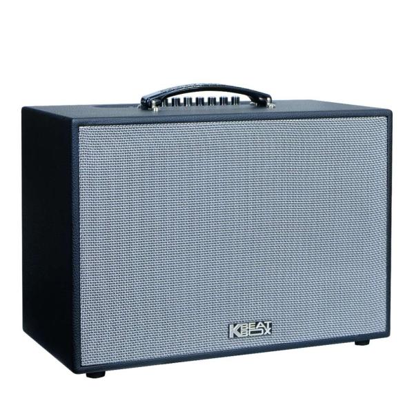 Loa Karaok ACNOS CS251PU
