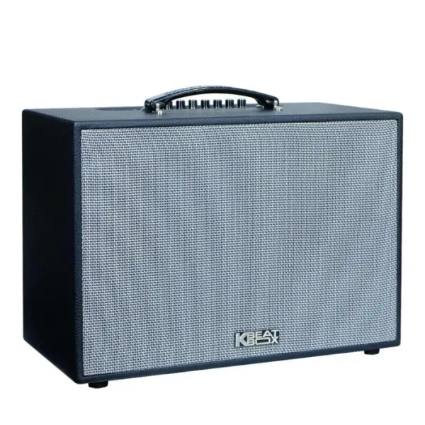 Loa Karaok ACNOS CS251PU