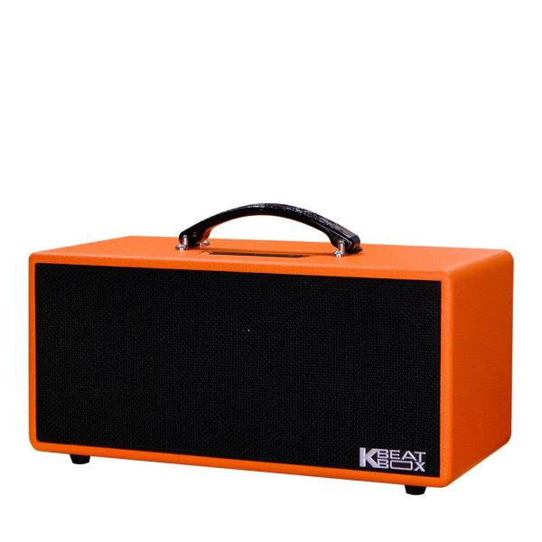 Loa Karaok ACNOS KS362D Cam