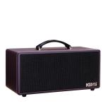Loa Karaok ACNOS KS362D Nâu