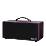 Loa Karaok ACNOS KS362D Nâu