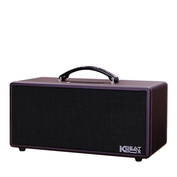 Loa Karaok ACNOS KS362D Nâu