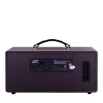 Loa Karaok ACNOS KS362D Nâu