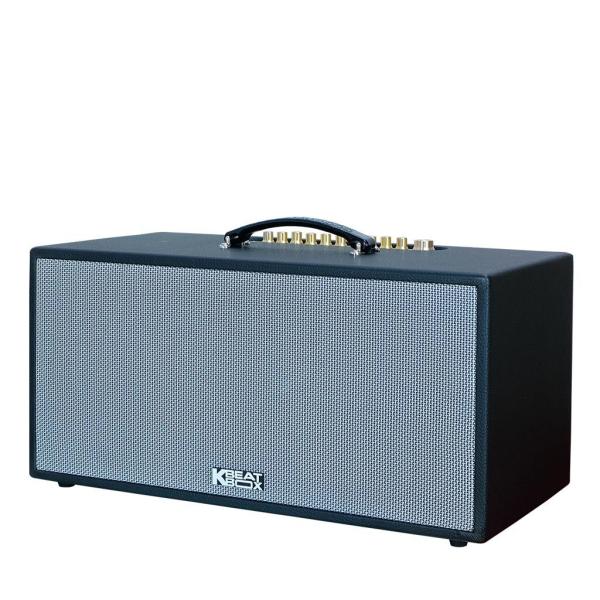 Loa Karaok ACNOS CS451