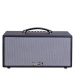 Loa Karaok ACNOS KS363V