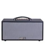Loa Karaok ACNOS KS363V