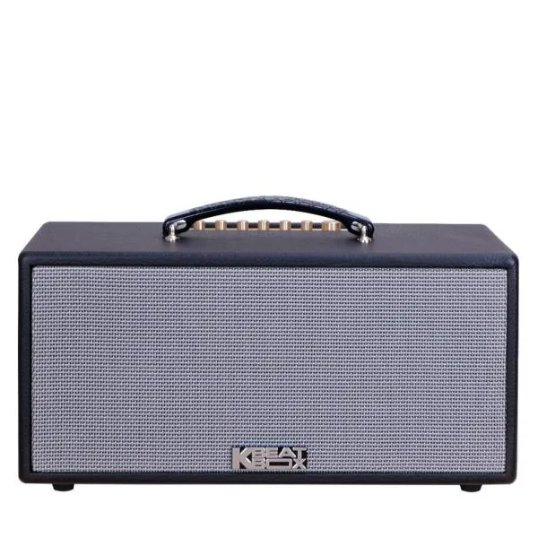Loa Karaok ACNOS KS363V