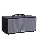 Loa Karaok ACNOS KS363V