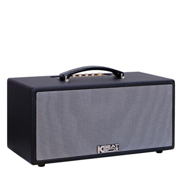 Loa Karaok ACNOS KS363V