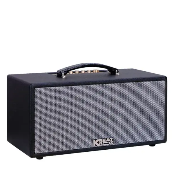 Loa Karaok ACNOS KS363V