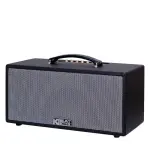 Loa Karaok ACNOS KS363V