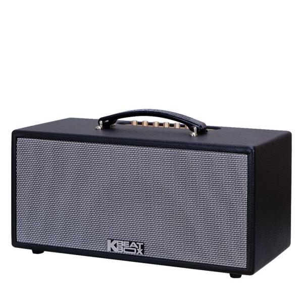 Loa Karaok ACNOS KS363V