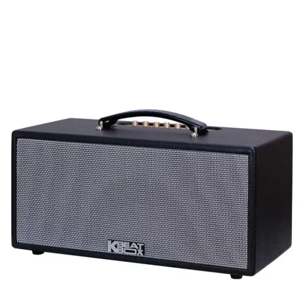 Loa Karaok ACNOS KS363V