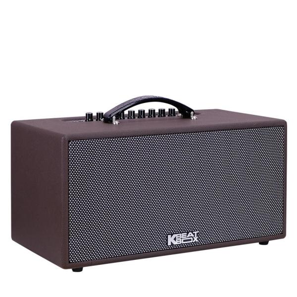 Loa Karaok ACNOS CS391