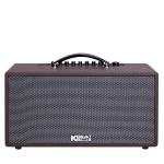 Loa Karaok ACNOS CS391