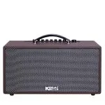 Loa Karaok ACNOS CS391