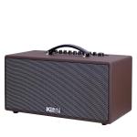 Loa Karaok ACNOS CS391