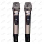 Loa Karaok ACNOS HN450