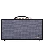Loa Karaok ACNOS HN450