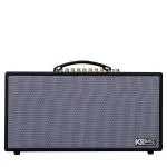 Loa Karaok ACNOS HN450