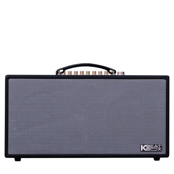 Loa Karaok ACNOS CS450alpha