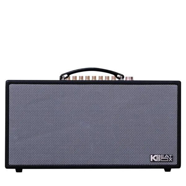Loa Karaok ACNOS HN450