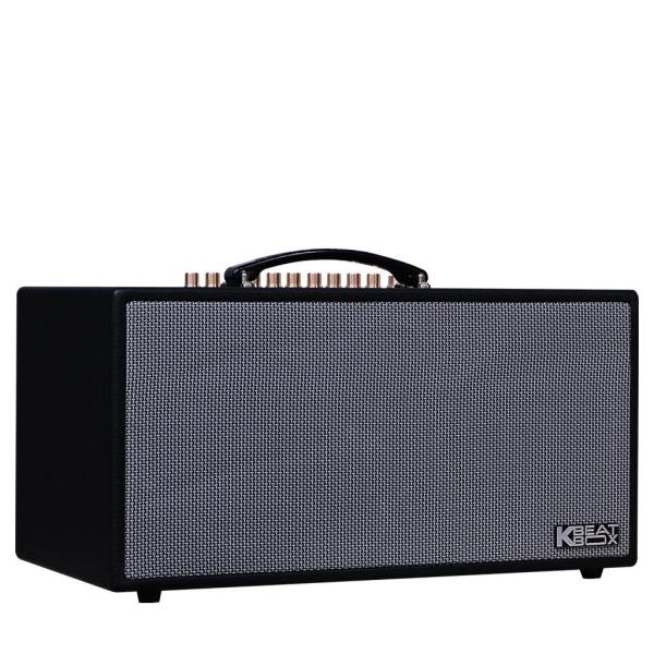 Loa Karaok ACNOS HN450