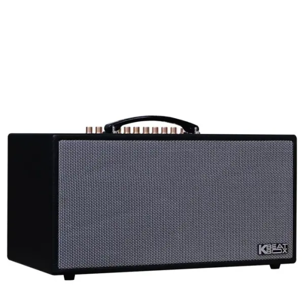 Loa Karaok ACNOS HN450