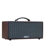 Loa Karaok ACNOS KS363H Nâu