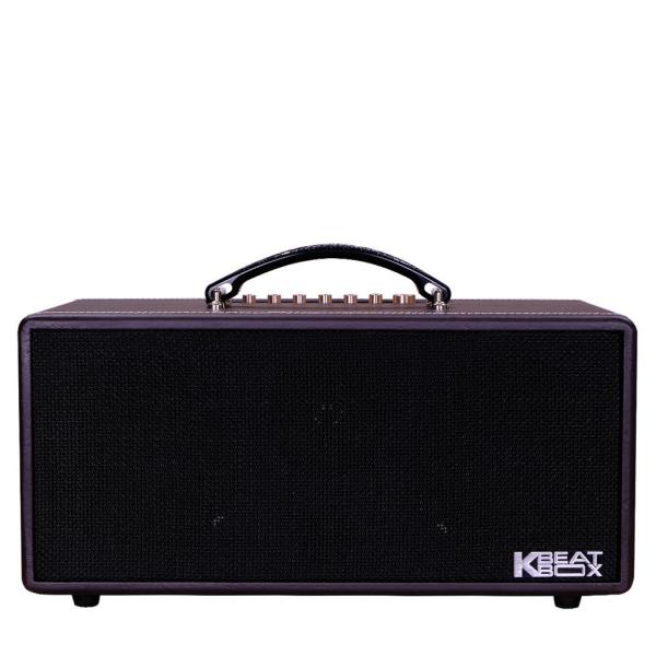 Loa Karaok ACNOS KS363H Nâu Viền Chỉ