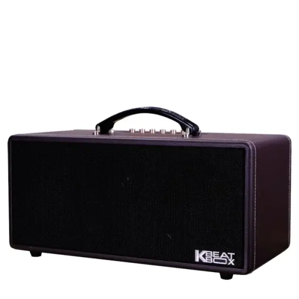 Loa Karaok ACNOS KS363H Nâu Viền Chỉ
