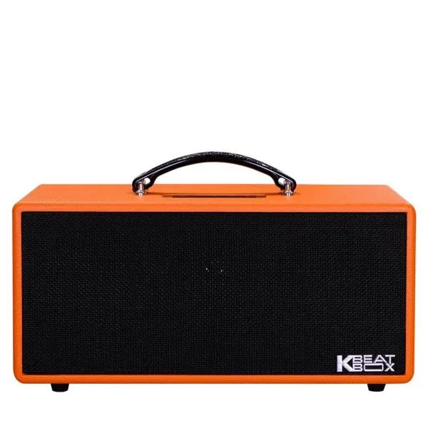 Loa Karaok ACNOS KS362D