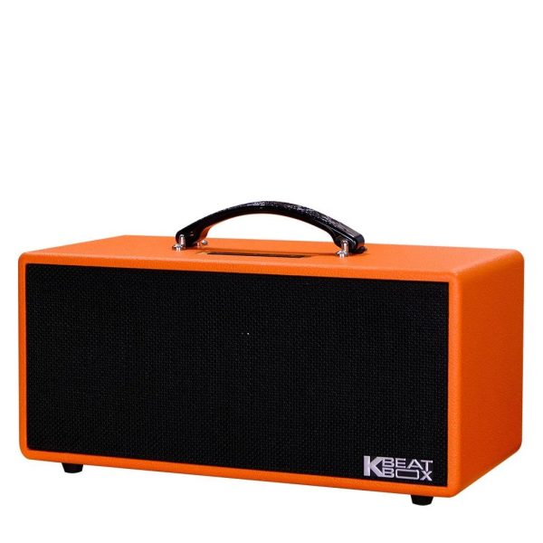 Loa Karaok ACNOS KS362D