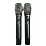 Loa Karaok ACNOS KS362D