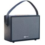 Loa Karaok ACNOS CS270
