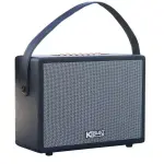 Loa Karaok ACNOS CS270