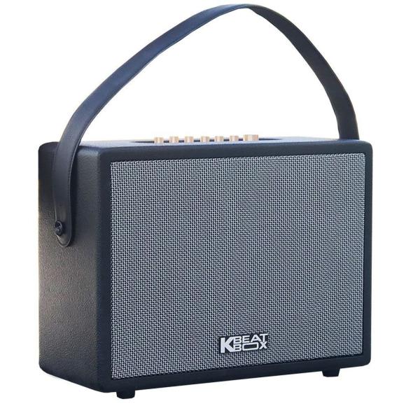 Loa Karaok ACNOS CS270