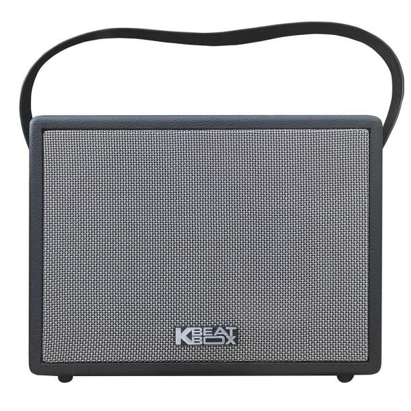 Loa Karaok ACNOS CS270