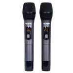 Loa Karaok ACNOS CS160