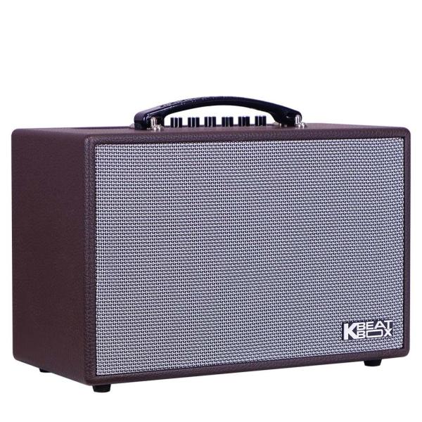Loa Karaok ACNOS CS160
