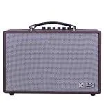 Loa Karaok ACNOS CS160