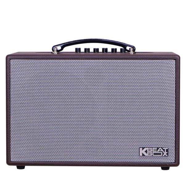 Loa Karaok ACNOS CS160