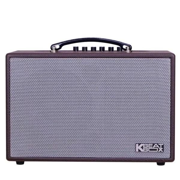 Loa Karaok ACNOS CS160