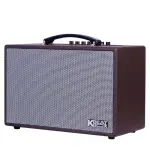 Loa Karaok ACNOS CS160
