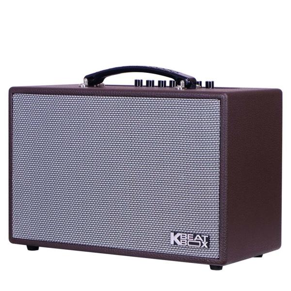 Loa Karaok ACNOS CS160